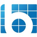 Block Imaging logo