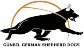 Gunbil German Shepherds logo