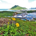 city of unalaska