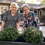 Tending our gardens