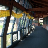 Posted yellow flags in the link, in recognition of Direct Support Professional's day!