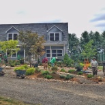 Evergreen Landscaping crews installing a landscape of both plantings and hardscapes