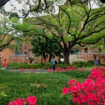 Tulane uptown campus