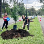 Ciena teams planting trees in East Coast Park to promote clean air and help protect the environment