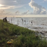 Field work for coastal erosion in Louisiana