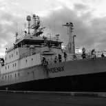 M/v Phoenix