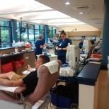 The collection staff make a difference to our donors!