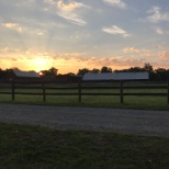 Morning sunrise near the horse riding arena