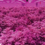 Photo taken of a section of our Bloom Facility by Elevate Magazine.