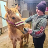 Balance Point Wellness offers equine therapy in Harford County.