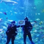 Blue Planet Aquarium Diver