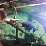 Blue Planet aquarium - Aquarist Team