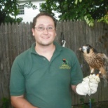 a picture of me and the Barbary Falcon