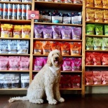 The beautiful treat rainbow from our Jamaica Plain store.