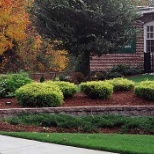 North Patio Grounds