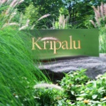 Kripalu