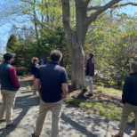 Tree training for account managers