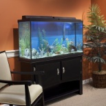 Memory Care Fish Tank