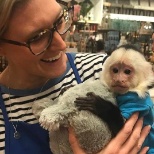 Just a typical day at a Pier 1 store: Xander the monkey stops by to say hello.