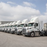 Fleet of Freightliner and Peterbilt day cabs