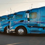 Group of Caledonia Haulers Trucks