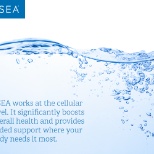 ASEA significantly boosts overall health and provides added support where your body needs it most.