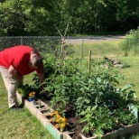 Gardening 