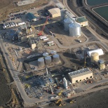 Hallock Plant