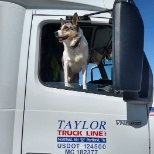 We have a Pet Policy - Do you want to bring your dog on the road?