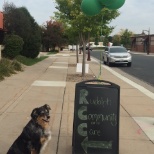 RCC is a pet friendly employer!