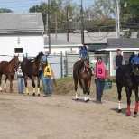 Horses are heading for the Paddock for their race.