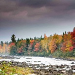 Fall foliage on Plum Creek land in Maine