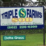 Sod farm