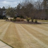 Zoysia grass dormant striped professionally by Dusty Smith