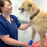 Animal Trust Ellesmere Port