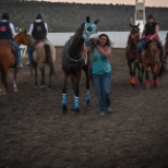 Taking Freddy to the paddock to get saddled