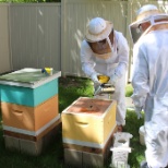 Persons Served take a hands on approach in our adaptive bee-keeping.