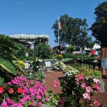 Our beautiful gardens in the summer!