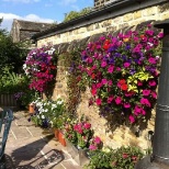 Award winning beer garden