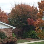 Fall at Fleshers