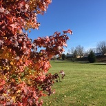 Fall in Fairview