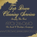 Top Down Cleaning Services Logo