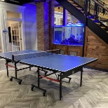 Ping pong table