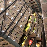 Load of Mango arriving