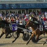 Standardbred Race