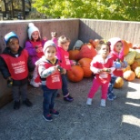 We love Fall and pumpkin picking!