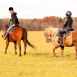 The Charlton School Equine Program