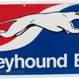 Greyhound