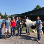 Equine therapy.