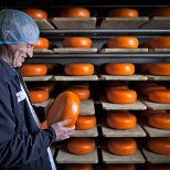 Our cellar team in Monroe, Wisconsin oversees the aging process of our cheeses.